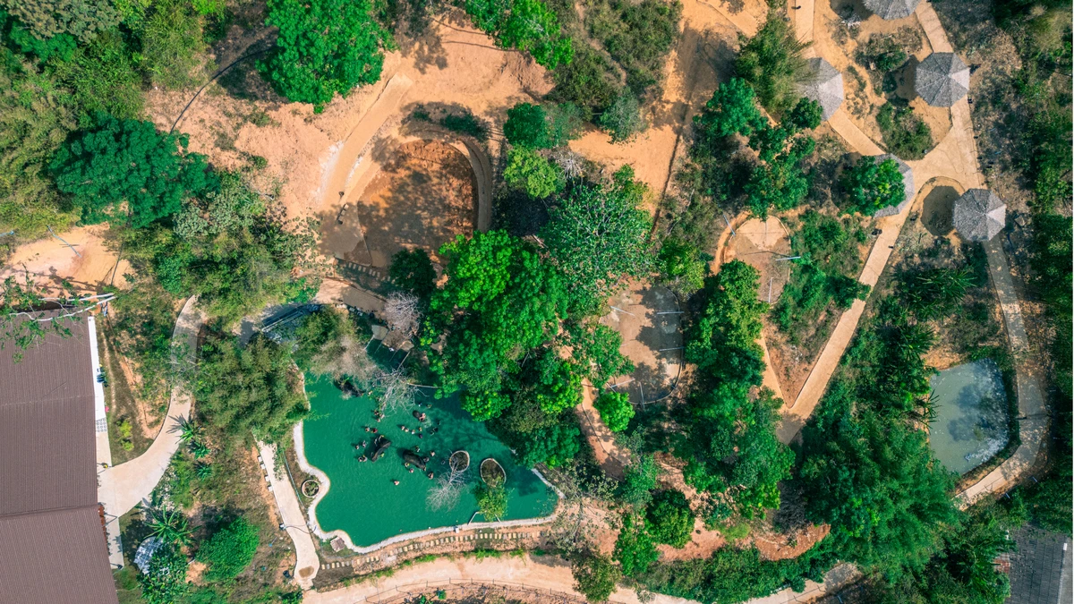 Phuket Elephant Care Sanctuary